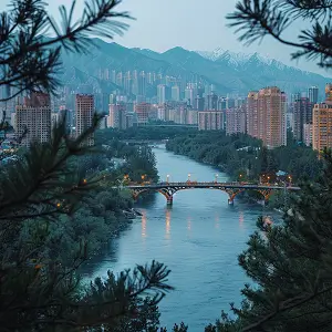 男生头像含义英文