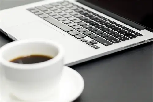 《秋日奏鸣曲》解读